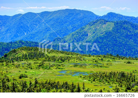 Naeba山峰停泊 16665726