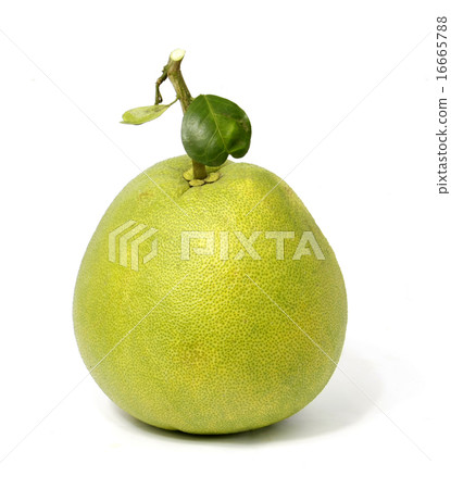 pomelo fruit 16665788