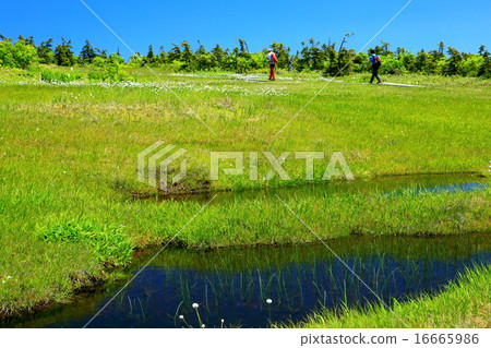 Iba Tang of Naeba mountain and climbers Iba Tang of Naeba mountain and climbers 16665986