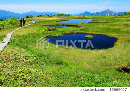 Iba Tang的Naeba山和登山者 16666037