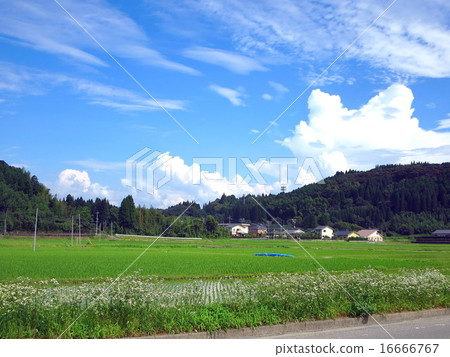 Minami Kyushu Satsuma的鄉下風景 Minami Kyushu Satsuma的鄉下風景 16666767