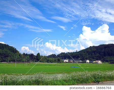 Satoyama landscape of southern Kyushu Satsuma 16666768