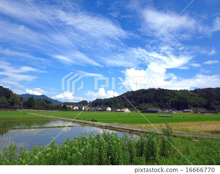 Kagoshima prefecture early summer sky and countryscape 16666770