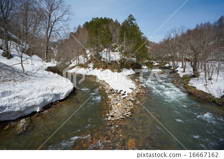 秋田縣路線341線,黑川澀(右側)從澀谷大橋附近的石黑澤(左側)加入支流 秋田縣路線341線,黑川澀(右側)從澀谷大橋附近的石黑澤(左側)加入支流 16667162