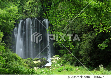 Karasawa Falls 16667498