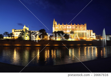 Cathedral Palma de Mallorca illuminated at night 16667816