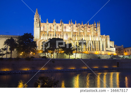 Cathedral Palma de Mallorca illuminated at night 16667817