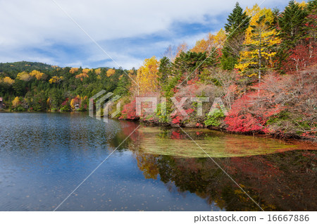 Doudendoshi的白色促銷手冊1 16667886