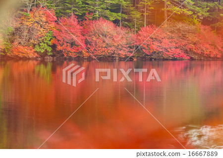 Daeda Dunzaki的白色神殿池塘3 16667889