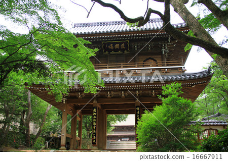 Kōsanji temple gate 16667911