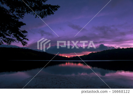 Shirakomakike的黎明 16668122