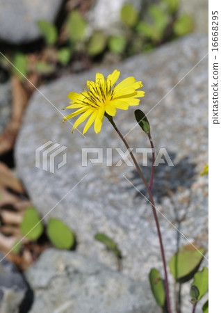 Onita Birako Onita Birako 16668295