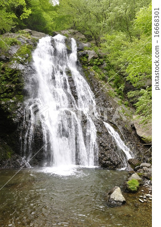 Tanzawa Mountain Rainforest Falls 16668301