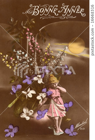 .明信片 古董 花朵 16668316