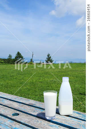 高原牛奶 高原牛奶 16668454