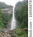 Nachi's waterfall 16668478