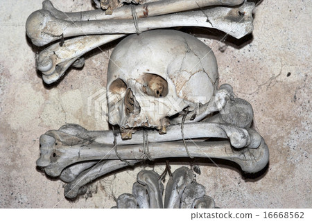 Sedlec Ossuary - charnel-house 16668562