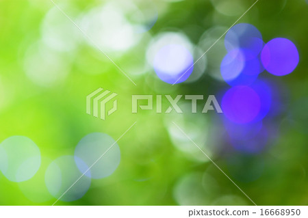 bokeh lights bokeh lights 16668950