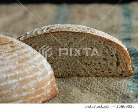 康帕涅 康帕涅 16669023