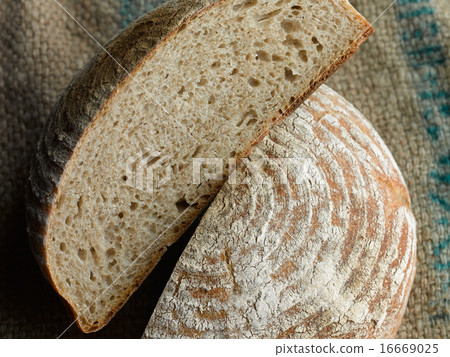 康帕涅 康帕涅 16669025