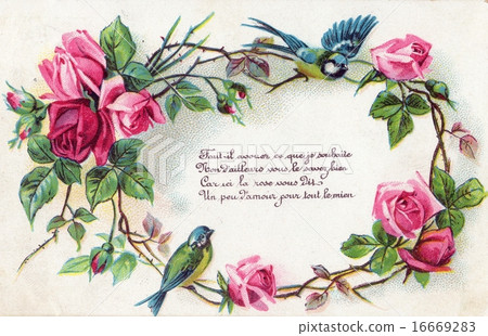 vintage, bloom, flower 16669283