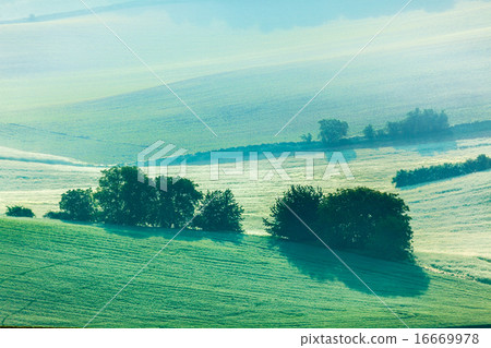 Moravian rolling fields in morning mist 16669978