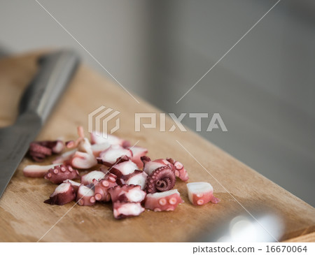 Cut octopus 16670064