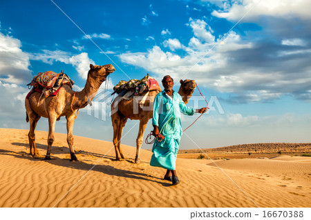 Cameleer camel driver with camels in dunes of Thar desert 16670388