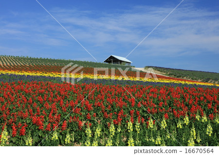 Hanazono no Oka Hanazono no Oka 16670564