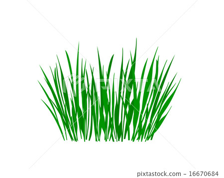 Grass illustration Grass illustration 16670684
