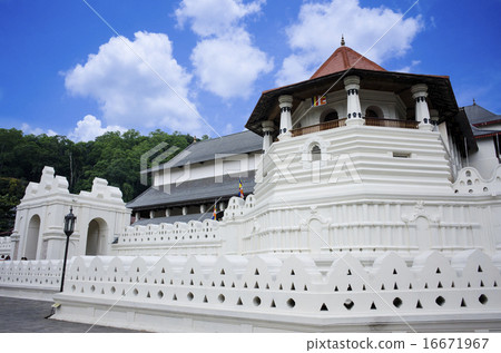 Sri Lanka Buddhist priest Sri Lanka Buddhist priest 16671967