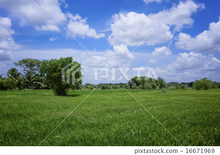 Sri Lanka Sri Lanka 16671969