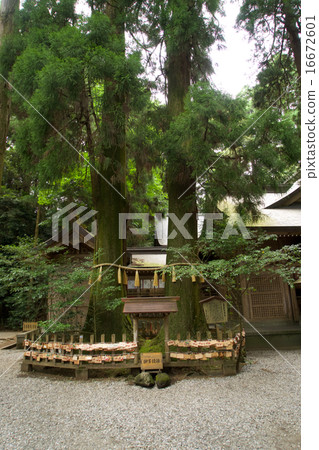 Takachiho Shrine Takachiho Shrine 16672601