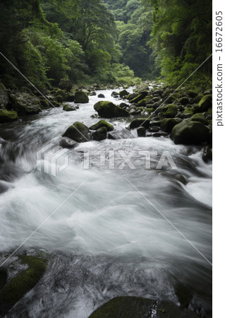 山間溪流 山間溪流 16672605