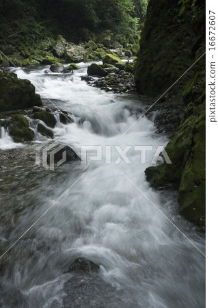 Mountain stream Mountain stream 16672607