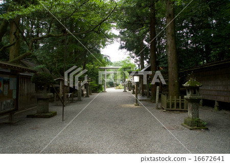 Takachiho Shrine Takachiho Shrine 16672641