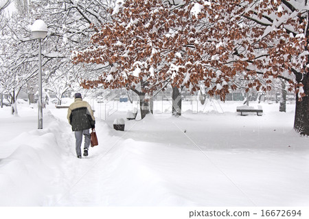 Man in the park 16672694