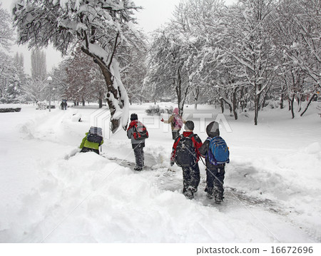 Playing in the snow Playing in the snow 16672696