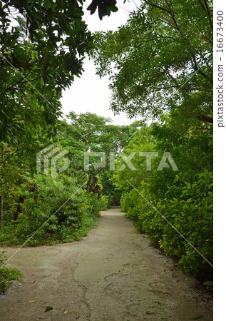 Yufu Island island avenue Yufu Island island avenue 16673400