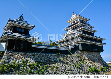 中津城 16673441