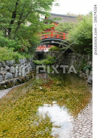 Shimogamo神社御手洗池塘 Shimogamo神社御手洗池塘 16674384
