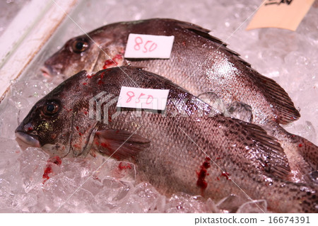 Pepper dice 16674391