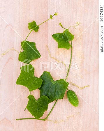 The ivy gourd, also known as baby watermelon. 16674524