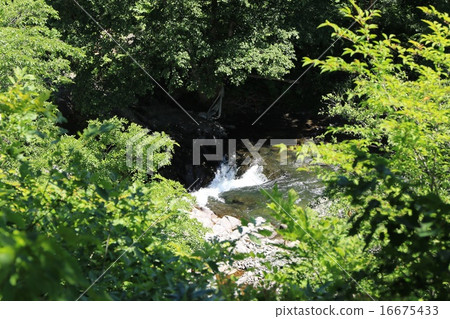 “白瀑布”位於村名“Shirataki”的出生地附近 16675433