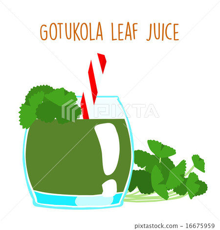 fresh gotukola juice in glass with tube vector 16675959