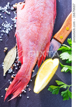 ocean perch ocean perch 16676687