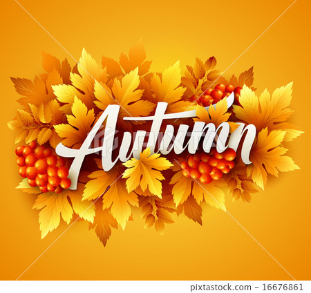 Autumn typographic. Fall leaf. Vector illustration Autumn typographic. Fall leaf. Vector illustration 16676861