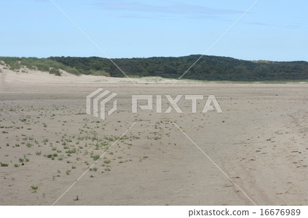 Dune Dune 16676989