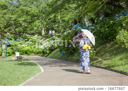 Parasol and Japanese women 16677887