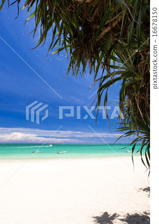 沖繩海灘·Mi Bairu海灘 16678150